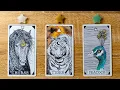 Lagu 🎉YOUR WISH IS COMING TRUE! WHICH ONE? 🥳🌠🧁 Pick A Card 🔮✨ Timeless Tarot Reading
