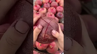 صوت صفير البلبل   دندنها