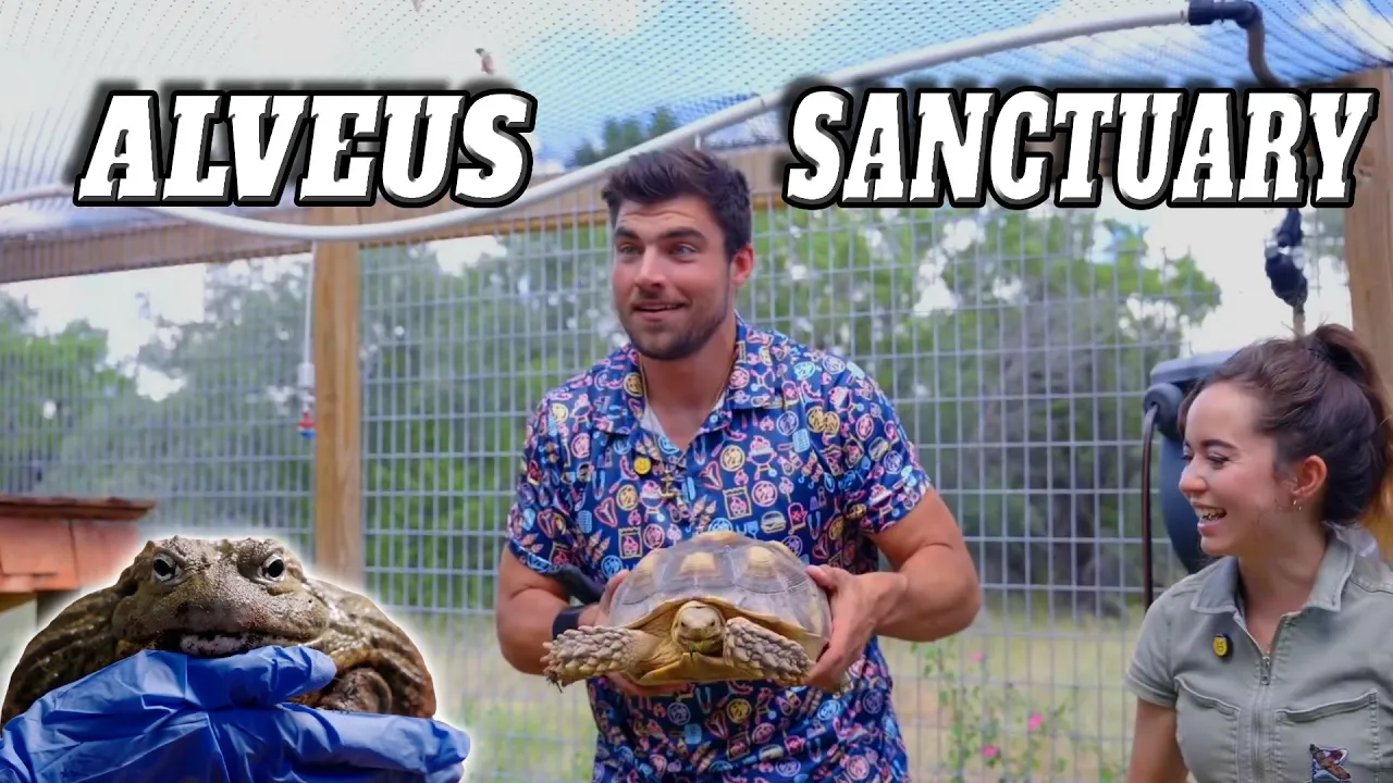 Alveus Sanctuary Tour – Meet the Animals!