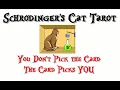 Schrodinger s Caturday - How will the LEO South Node Eclipse energy impact you over the next 6 mo