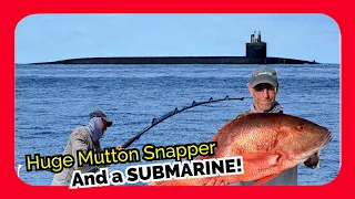 Fishing Offshore St Augustine FL - MUTTON SNAPPER