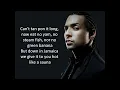 Temperature by Sean Paul with lyrics [HD]