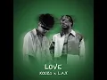 Kouz1 & L.A.X - Love (Nigeria Remix)