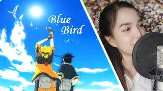 Download Blue Bird (Naruto Shippuden Opening 3) | Cover by Darlene MP3