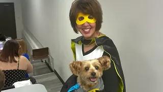 Superhero clip