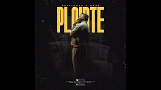 DOLLYPRAN PLAINTE FT MORO 