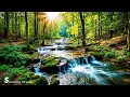 Feel the Stress Melt Away – Relaxing Music for Inner Peace and Clarity