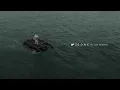 NF, Julia Michaels - GONE (Audio)