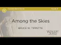 Among the Skies - Bruce W Tippette