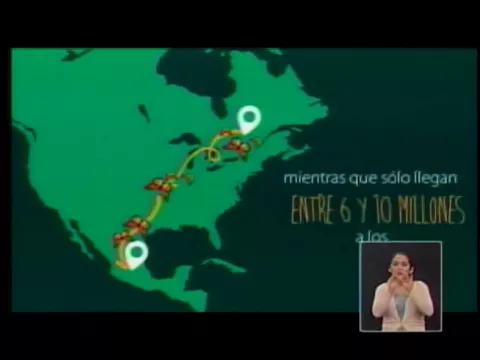 México posee iniciativa agroecológica para mariposa Monarca