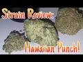 Strain Review Hawaiian Punch