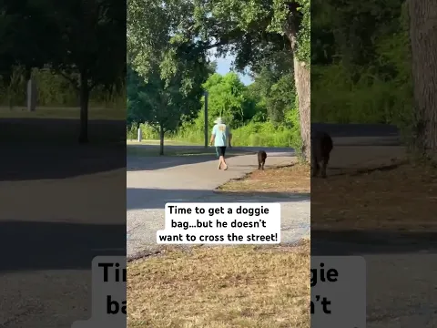 Funny Dog (Buster-ism):  He doesn't like to change his routine!