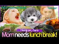 Download Lagu ＂Mom needs a lunch break!＂ SNSD Taeyeon’s River Feast🌊 (with Mama’s Boy Zero🐶)