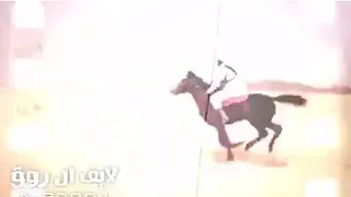 ال روق الجحادر قحطان ال روق حزام عز المنادي يقصر الي كان فالميقاف ضده 