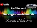 Download Lagu Itje Trisnawati - Secangkir Madu Merah [Karaoke] Nada Pria