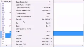 Java Programming Tutorial 40 Set and Get Methods