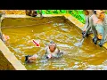 Download Lagu 🙏 God Bless! Young Mother Monkey Mada Plays Near Water, Not Realizing Her Baby Needs Help.