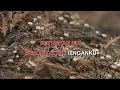 Download Lagu BERCINTALAH DENGANKU By MELLY GOESLAW Indonesian Malay Karaoke