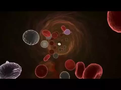 Inside The Human Body - Official Trailer