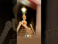 Tathagat Gautam buddha status|| dhamma sakal status||gautam buddha new status