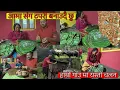 Download Lagu आमा र म टपरि बुन्दै||KINA CHAHINCHHA TAPARI ||YESTO CHALAN CHHA GAUNGHAR MA || LEAF PLATES 
