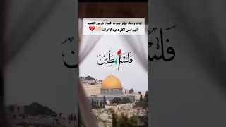 ايات ودعاء بصوت الشيخ فارس التفسير اللهم امين لكل دعوة كانت لإخواننا فارس التفسير 