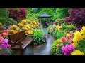 Download Lagu Jalan-Jalan di Taman Hujan yang Menawan 🏡 Inspirasi Desain Taman yang Menenangkan untuk Ketenanga...