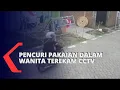 Download Lagu Pria ini Mencuri Pakaian Dalam Wanita untuk Memuaskan Hasrat Seksualnya