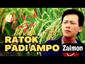 Download Lagu Ratok Padi Ampo Zalmon .