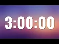 3 Hour Timer - No Sounds No Ads No Music