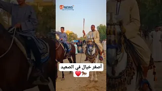 Young Horsemen From Upper Egypt Shine At The Prophet S Birthday Celebration In Mansha At Al Amari 