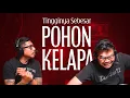 Download Lagu DISAMBUT POCONG RAKSASA DI HUTAN UJUNG PULAU JAWA