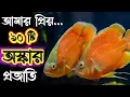 Beautiful Varieties of Oscar Fish Different Types of Oscar Fish Species Expert Aquarist
