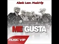 Los Buitres De Culiacán Sinaloa - Me Gusta (2015)