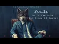 Foals -In To The Surf(Hot Since 82 Remix)