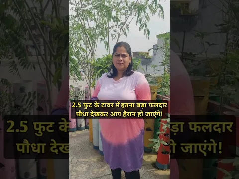 2.5 फुट के टावर में इतना बड़ा फलदार पौधा देखकर आप हैरान हो जाएंगे! PVC Garden 🥬🥬#shorts #home