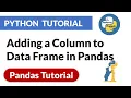 Adding a Column to Data Frame in Pandas Pandas Python Tutorial PyPower