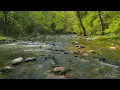 4K Relaxing River - Nature Video -  Water Stream & Birdsong Sounds - Sleep/Study/Meditate/ASMR