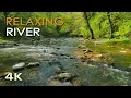 Download Lagu 4K Relaxing River - Nature Video -  Water Stream \u0026 Birdsong Sounds - Sleep/Study/Meditate/ASMR