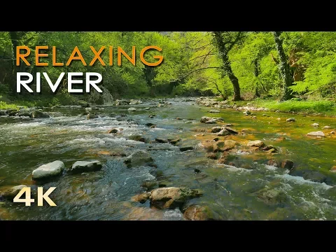 Download MP3 4K Relaxing River - Ultra HD Nature Video -  Water Stream & Birdsong Sounds - Sleep/Study/Meditate