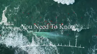 Alan Walker You Need To Know New Song 2024 Official Video 