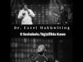 Ngizifihla Kuwe (feat. Oncemore Six) (Live)