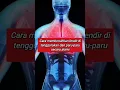 Download Lagu Cara Membersihkan Lendir Di Paru - Paru dan Tenggorokan Secara Alami
