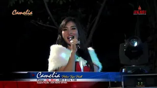 Download RIA ANDHIKA JANGAN NGET NGETAN CAMELIA 09 29 58 PM MP3