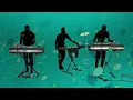 My Girls - Animal Collective