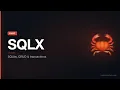 Rust SQLx SQLite CRUD Transactions Compile-Time Checked