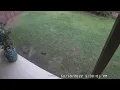 OpenCV Python time lapse using frame interpolation
