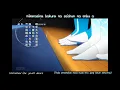Download Lagu Opening Bakuten!! (Backflip) - Seishun no Enbu by Centimillimental [Rom/Eng/Idn lyrics] TV SIZE