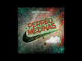 MEDINAS - PERREO MEDINAS🥳 ft. @elchinoddj3113  (PROD @N1EVA)