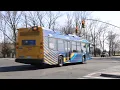 MTA Bus 2023 Novabus LFS Conehead on the Q8 to Spring Creek at Seaview St
